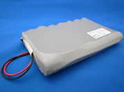 [Standard Soft Pack-Multi Cell]太平電機株式会社 Standard Soft Pack-Multi Cell バッテリーセル交換